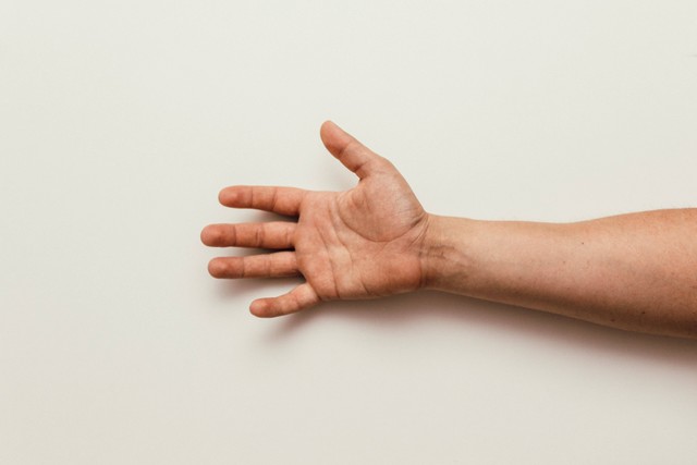 Tulang hasta adalah jenis tulang yang berada di bagian lengan bawah dan terhubung dengan jari-jari. Foto: Pexels.com 
