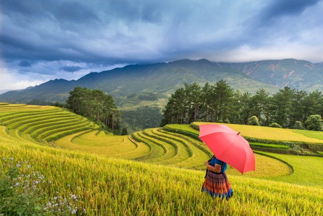 Foto : Pexels/Quang Nguyen Vinh, Gambar Hanya Ilustrasi Caption Pemandangan Bahasa Inggris