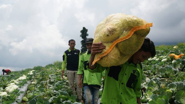 Dompet Dhuafa melalui Disaster Management Center (DMC) dan Lembaga Pelayan Masyarakat (LPM) distribusi sayur segar kepada posko-posko pengungsian gempa bumi di Cianjur pada Minggu (04/12/2022)