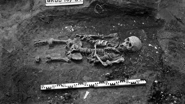 Kerangka manusia 'kerdil' Ł3/66/90/ yang ditemukan di situs makam di Lekno, Polandia. Foto: Magdalena Matczak dari University of Liverpool dkk via International Journal of Osteoarchaeology
