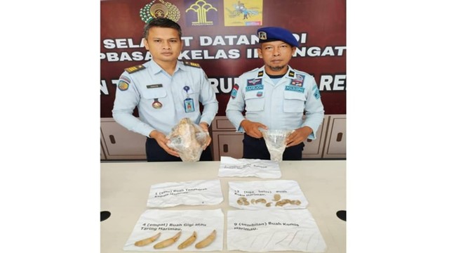 Rupbasan Kelas II Rengat, Indragiri Hulu, RIau, menerima titipan barang bukti berupa tulang belulang Harimau Sumatera, Rabu (7/12)