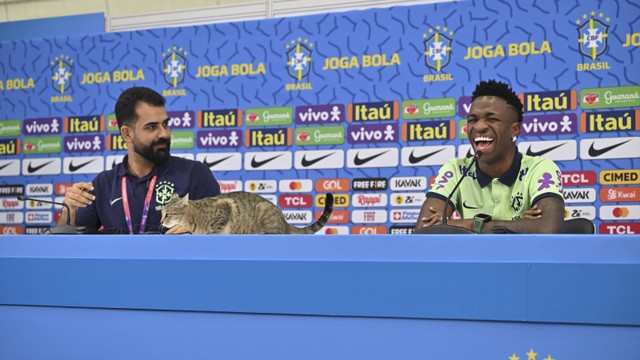 Seekor kucing yang naik ke meja konferensi saat penyerang Brasil, Vinicius Junior saat konferensi  pers di Stadion Al Arabi SC di Doha pada 7 Desember 2022. Foto: Nelson Almeida/AFP