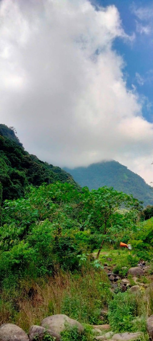 gambar pemandangan gunung puntang sumber gambar: sendiri