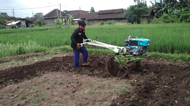 Demonstrasi Pengolahan Lahan Di Demplot Milik Ibu Nur Aisah Ketua KWT Desa Bululawang, Kabupaten Malang, Dokumentasi Pribadi (PMM 89-11/Andi Alfian)