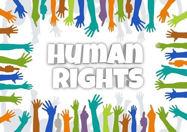 Ilutrasi peringatan Hari Hak Asasi Manusia sedunia 2022. Foto: Pixabay/Geralt
