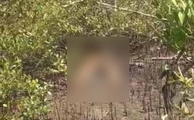 Mayat Misterius Ditemukan di Hutan Mangrove Sampang