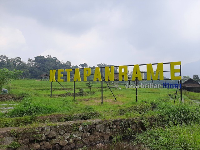 Wisata Sawah Sumber Gempong. Foto: Amanah Nur Asiah/Basra