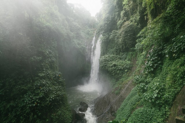 "Amazing waterfall with lush foliage on rocks". Sumber : https://www.pexels.com/photo/amazing-waterfall-with-lush-foliage-on-rocks-4534200/