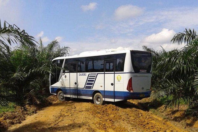 Bus Damri Perintis. Foto: dok. Damri