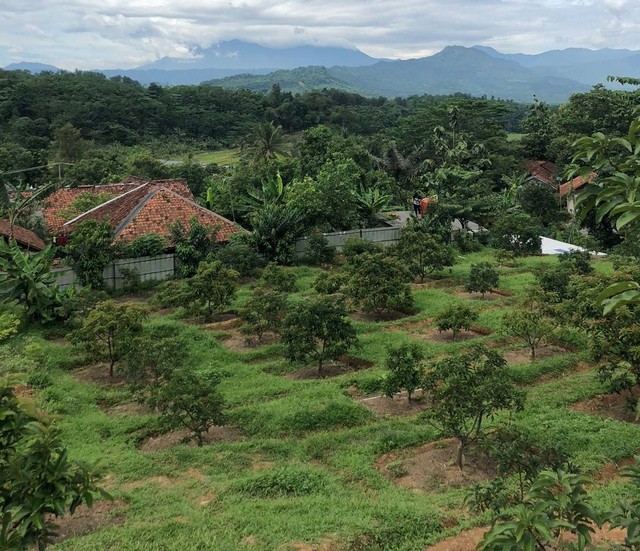 Bakti Sosial Desa Buana Jaya, Bogor