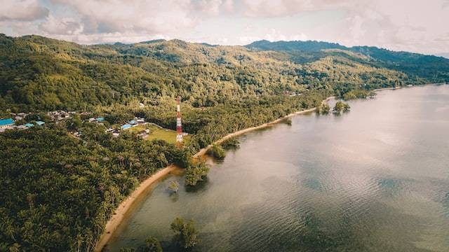 Ilustrasi Taman Nasional di Provinsi Maluku, Foto Unsplash Candy Hartawan