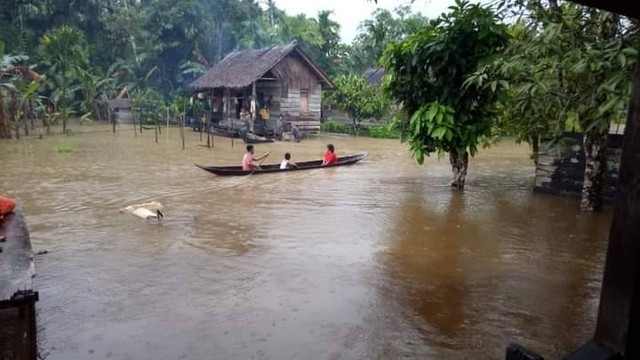 Ilustrasi. Kondisi banjir di Dusun Politcoman Desa Sigapokna, Siberut Barat, Kabupaten Kepulauan Mentawai, Senin (14/11/2022). Dokumentasi: BPBD Kepulauan Mentawai