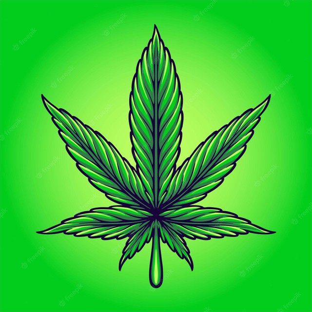 Cannabis Sativa atau Ganja
