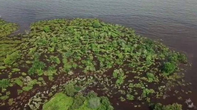 Kondisi Pulau Bengkalis di Kabupaten Bengkalis, Riau, akibat abrasi. (ANDRIAS/SELASAR RIAU)