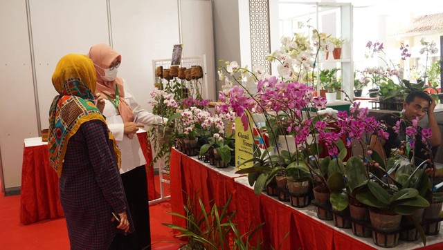 Gambar 1, Beberapa pemilik dari stan tanaman yang ada di pameran