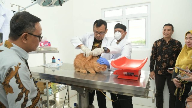 Klinik kesehatan hewan Dinas Peternakan Aceh. Foto: Biro Adpim 