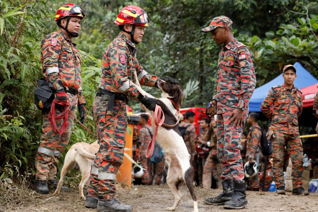 Tim penyelamat bekerja selama operasi pencarian korban longsor di perkemahan di Batang Kali, Selangor, Malaysia, Minggu (17/12).  Foto: Hasnoor Hussain/REUTERS