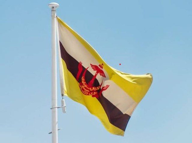 Ilustrasi bendera negara Brunei Darussalam. Foto: Pexels/Aboodi Vesakaran