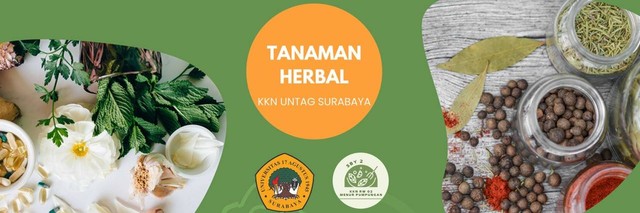 Sumber: Pribadi - Brosur digital tanaman herbal