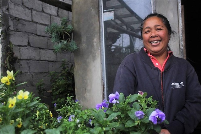 Ibu Suyamti, Mitra UMKM Amartha pemilik usaha budidaya tanaman hias di daerah Kopeng, Salatiga, Jawa Tengah (8/12).