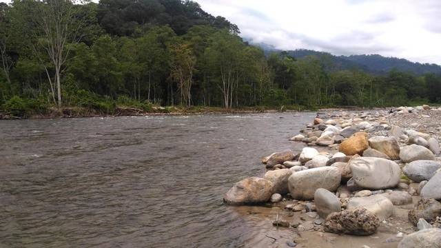 Sungai Alas dan Hutan Ketambe dalam kawasan Leuser, Aceh Tenggara. Foto: Adi Warsidi/acehkini