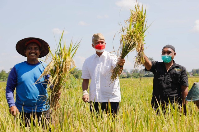 Potret Gubernur Jateng Ganjar Pranowo bersama para petani Jateng. Foto: Dok. Istimewa