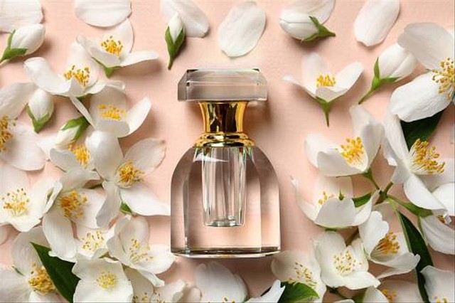 Ilustrasi Extrait de Parfum. Foto: Pexels