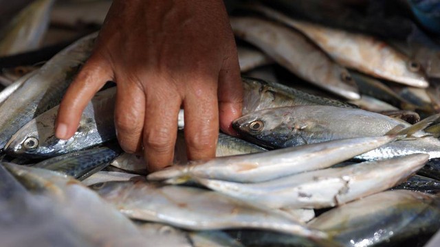 Ikan segar dijual di bazar Dinas Kelautan dan Perikanan Aceh. Foto: Suparta/acehkini