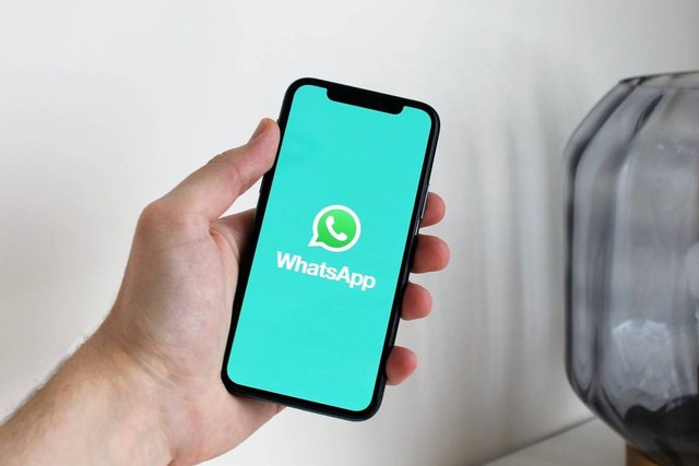 Cara mengembalikan akun WhatsApp bisnis ke pribadi. Foto: Pexels