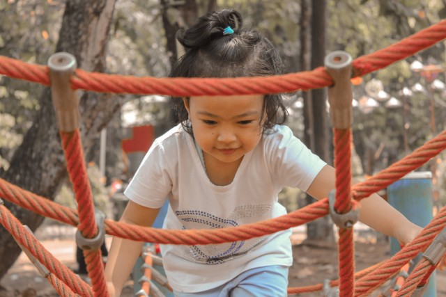 Wisata Edukasi Anak di Bogor, Foto Hanya Ilustrasi: Unsplash/Arfan Adytiya