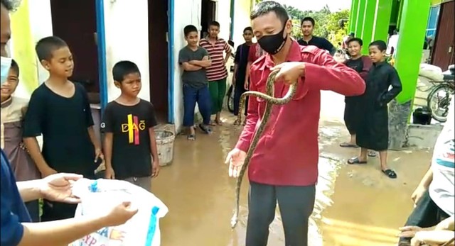 Tim Mamat Rescue mengevakuasi ular di permukiman warga. Foto: M. Zain/Hi!Pontianak