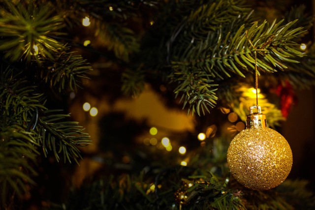 Ucapan Hari Natal untuk Teman Kristen yang Berharga, foto: Pexels/Valeria Vinnik