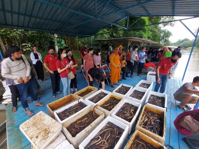 Jalankan Tradisi Fang Seng, Young Budhhist Association Lepas Ribuan Ikan (1)