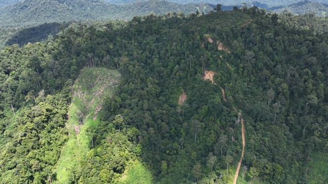 Tutupan hutan di Aceh Selatan. Foto: dok. Siti Aisyah/acehkini