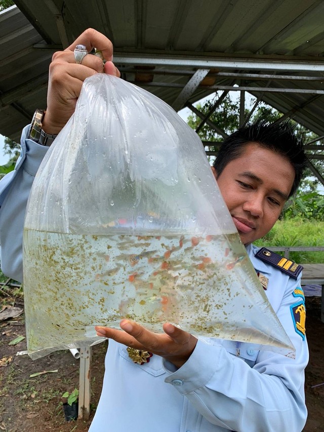 Kasi Binadik dan Giatja Lapas Terbuka Kendal bersama ikan guppy hasil budidaya jajarannya - Foto Lapas Terbuka Kendal