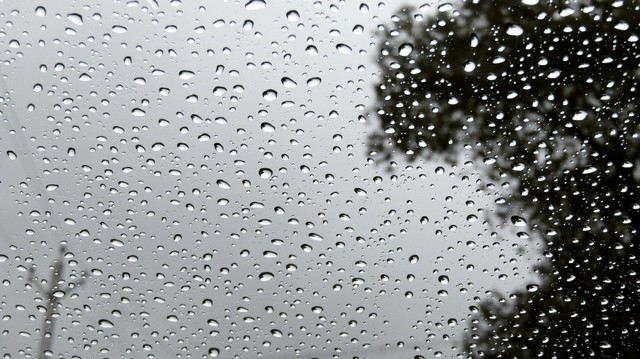 Ilustrasi Kata-Kata Hujan Lucu dan Menyenangkan. Foto: Pexels.com.