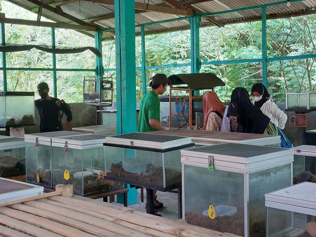 Kuliah Lapangan di Satoloka, Prodi Pendidikan Biologi Universitas Ahmad Dahlan (UAD) (Foto: Istimewa)