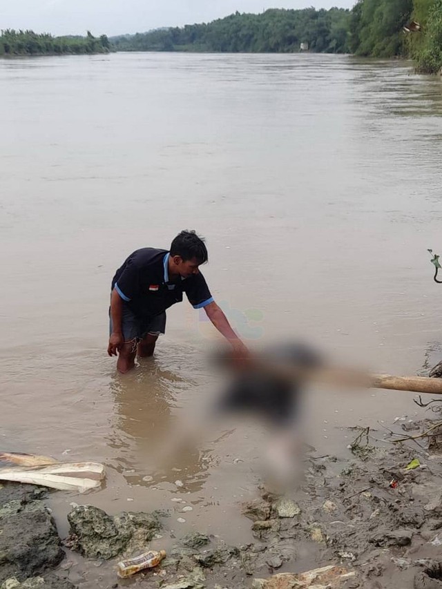 Sesosok mayat laki-laki yang ditemukan mengapung di Sungai Bengawan Solo Desa Pagerwesi, Kecamatan Trucuk, Kabupaten Bojonegoro. Senin (26/12/2022) (Foto: Dok Istimewa)