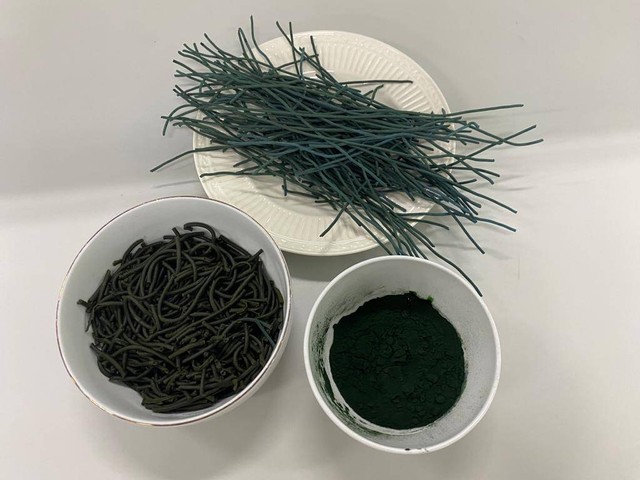 Inovasi pasta spirulina.