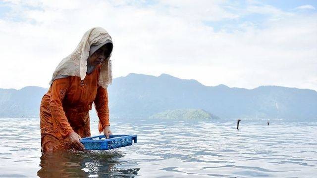 Festival Rinuak di Danau Maninjau, Kabupaten Agam, Sumatera Barat. Foto: Humas Pemkab Agam