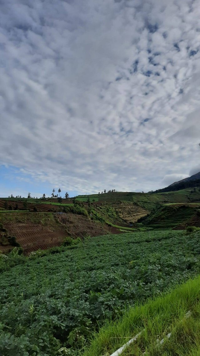 Gambar Puncak Brakseng diambil Sendiri oleh Rohaniyun Rohmatun Uzlifah