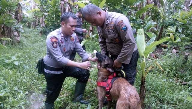 Kejar Pembunuh Ibu Muda di Malang, Anjing Pelacak Dikerahkan ke Hutan