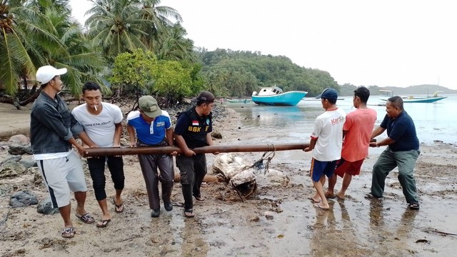 Warga kubur ikan dugong yang ditemukan mati di pesisir pantai Pulau Bawean, Kabupaten Gresik. Foto: Dok. Istimewa