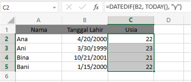 Cara Menghitung Usia Di Excel Dengan Mudah Dan Cepat | Kumparan.com