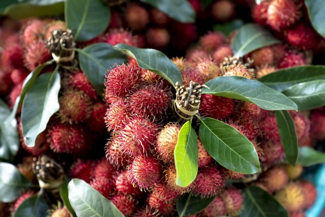 Rambutan adalah buah yang kaya akan nutrisi dan menyehatkan bagi kesehatan tubuh. Foto: Pexels.com 