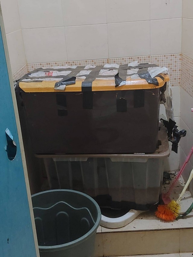 Potret container box berisi mayat perempuan tanpa identitas yang ditemukan di sebuah rumah kontrakan di Kampung Buaran RT 01/12, Desa Lambangsari, Tambun Selatan, Bekasi dalam kondisi termutilasi. Foto: Dok. Istimewa