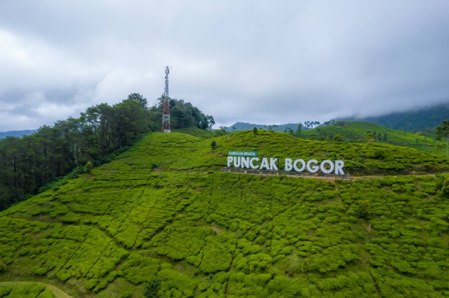 Ada Apa Saja di Puncak Bogor, Foto Hanya Ilustrasi: Unsplash/Ammar Andiko