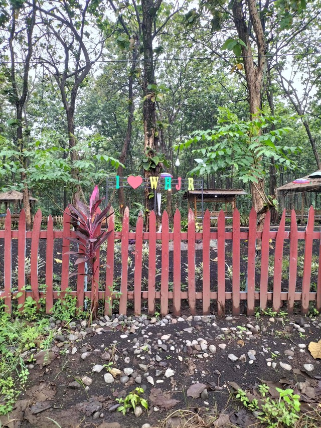 Tempat Wisata Hutan Jati Raya. Sumber : Dokumen pribadi peneliti