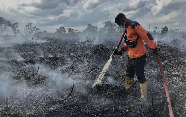 Petugas pemadam kebakaran melakukan proses pendinginan lahan gambut yang terbakar di Desa Natai Baru, Pangkalan Bun, Kotawaringin Barat, Kalimantan Tengah, Senin (2/1/2023). Foto: Ario Tanoto/ANTARA FOTO
