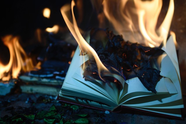 Ilustrasi: Book Burned (Sumber: pexels.com)